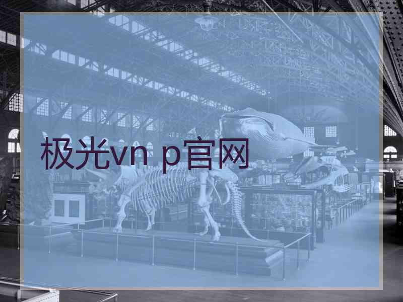 极光vn p官网
