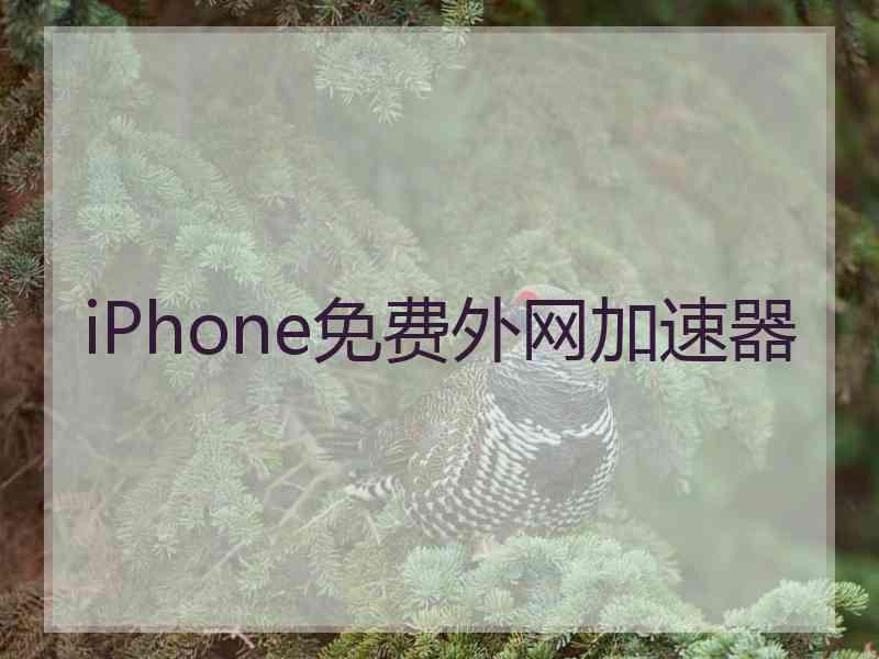 iPhone免费外网加速器