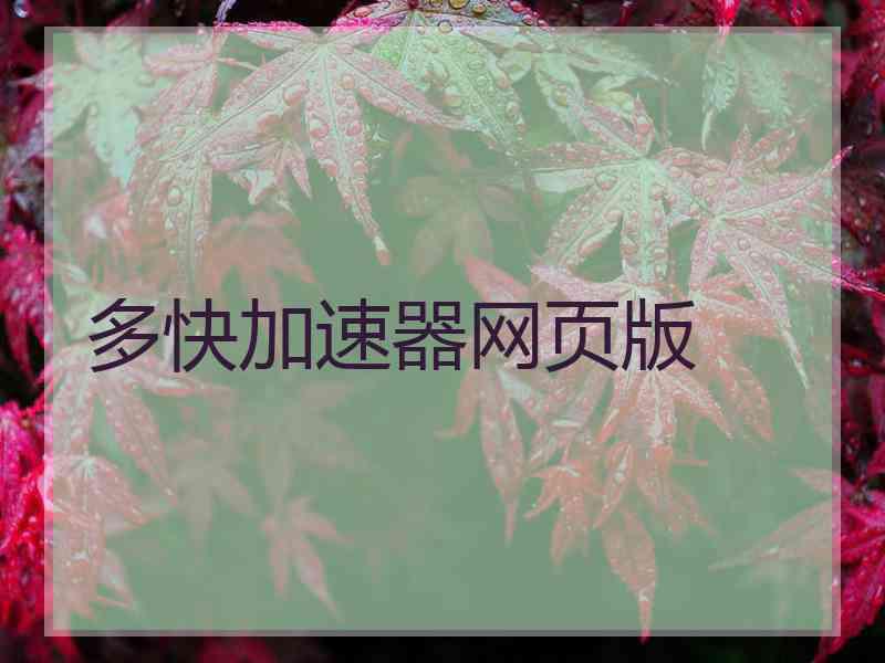 多快加速器网页版