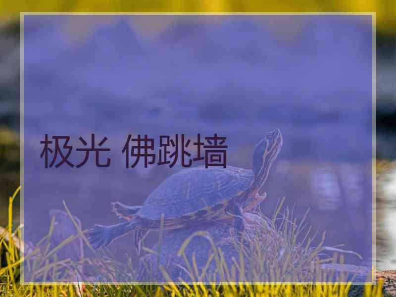 极光 佛跳墙