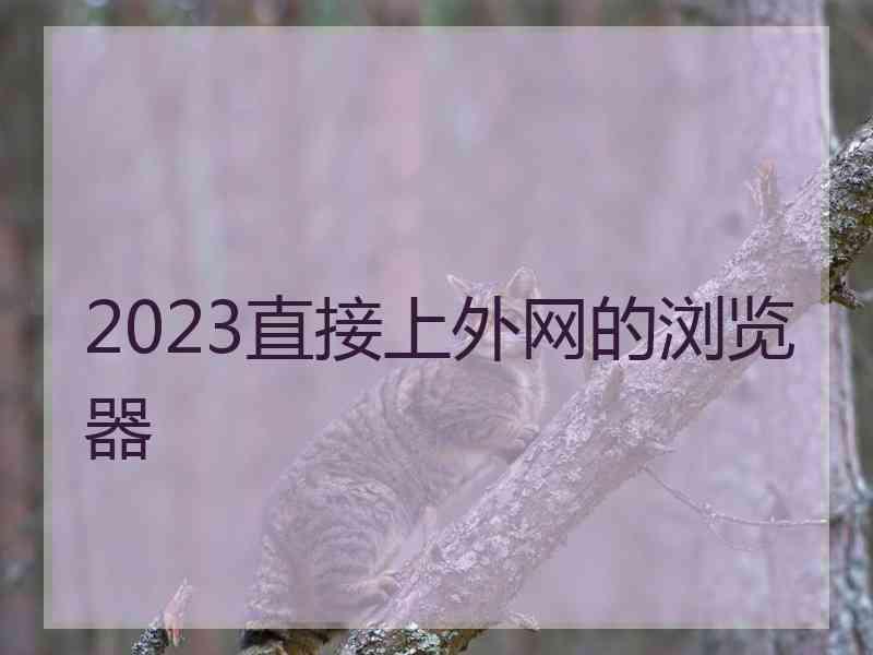 2023直接上外网的浏览器