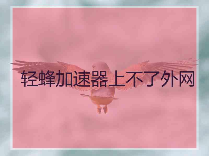 轻蜂加速器上不了外网