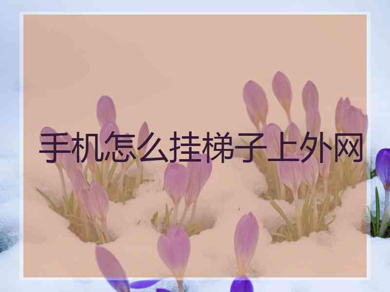 手机怎么挂梯子上外网