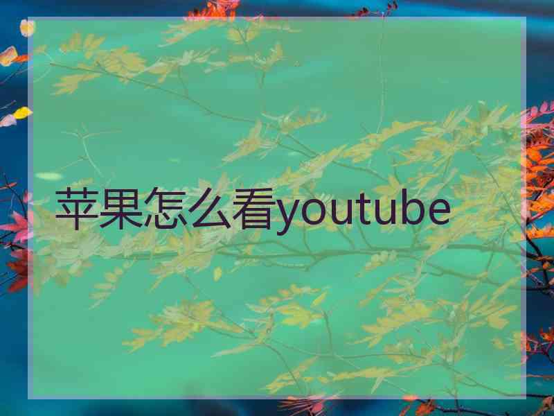 苹果怎么看youtube