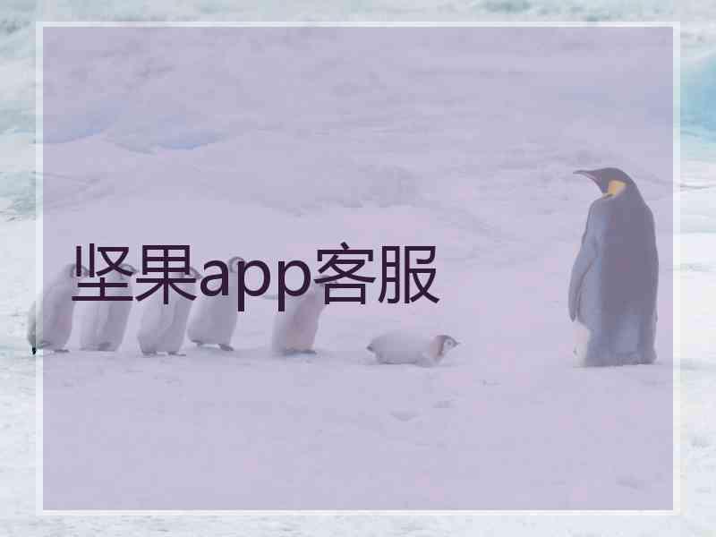 坚果app客服