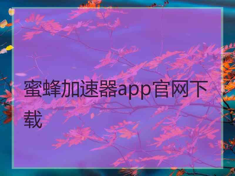 蜜蜂加速器app官网下载