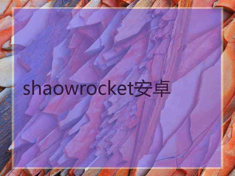shaowrocket安卓
