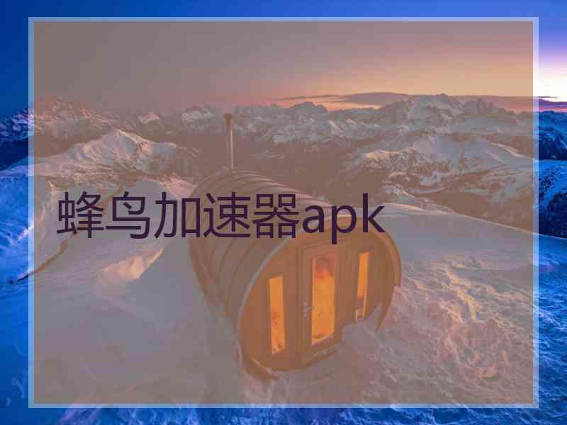蜂鸟加速器apk