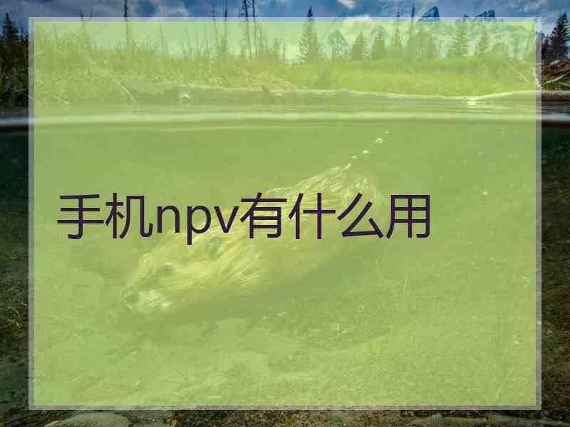 手机npv有什么用