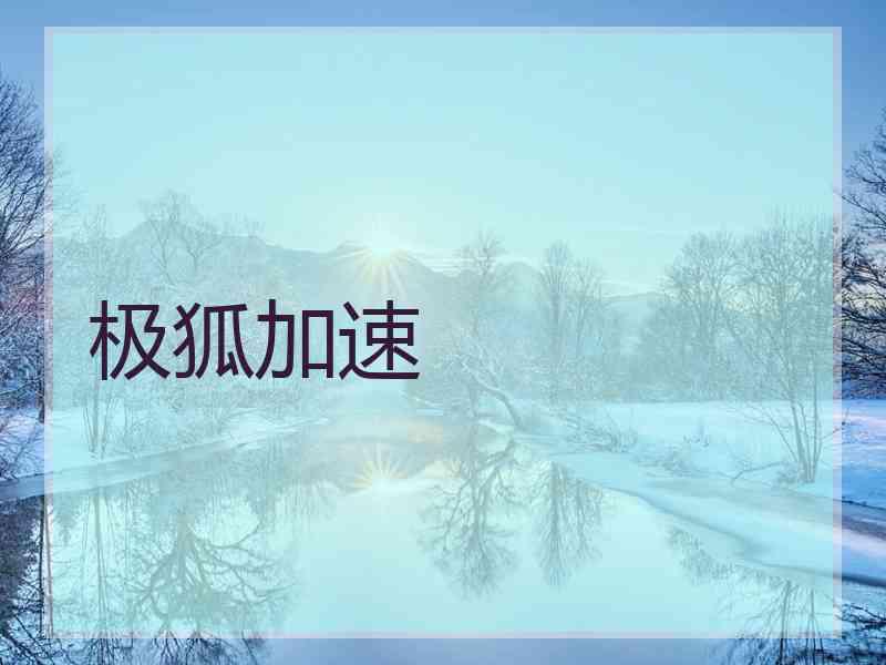 极狐加速