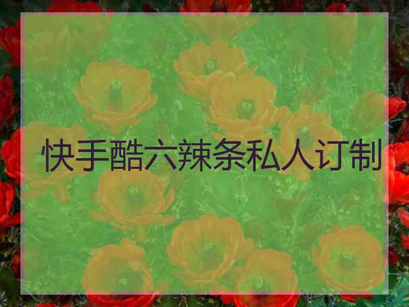 快手酷六辣条私人订制