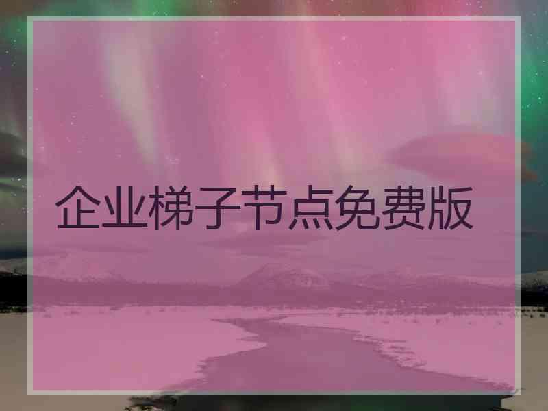 企业梯子节点免费版