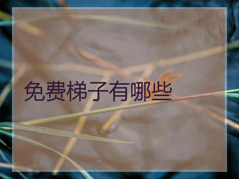 免费梯子有哪些