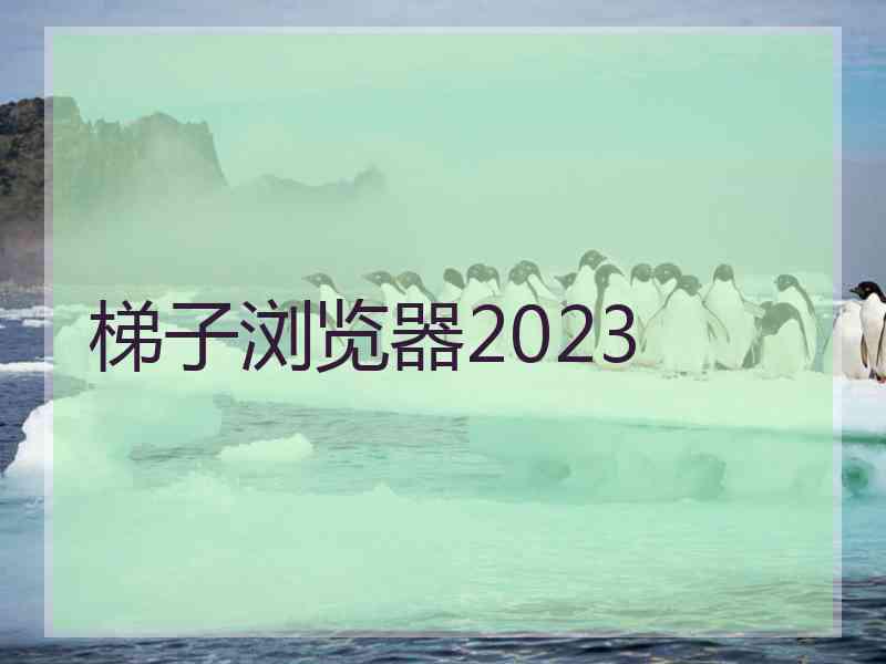 梯子浏览器2023