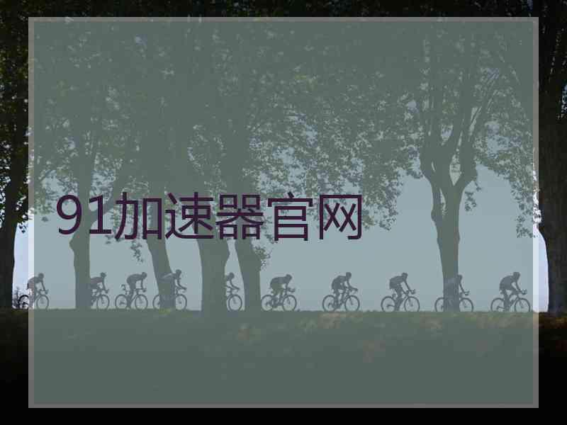 91加速器官网