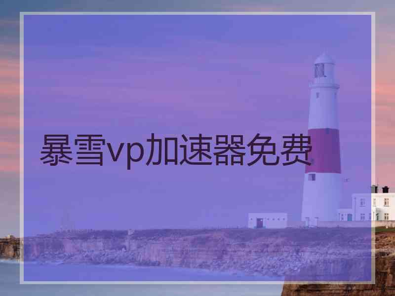 暴雪vp加速器免费