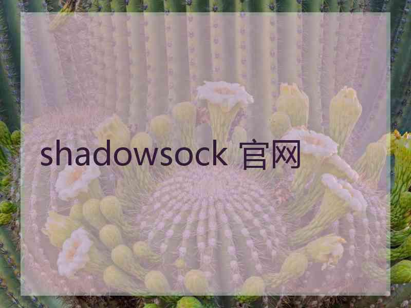 shadowsock 官网