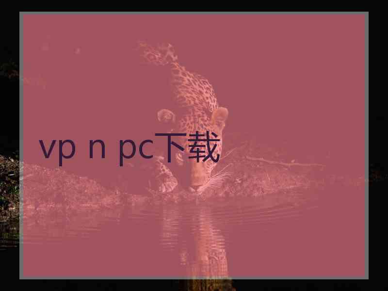 vp n pc下载