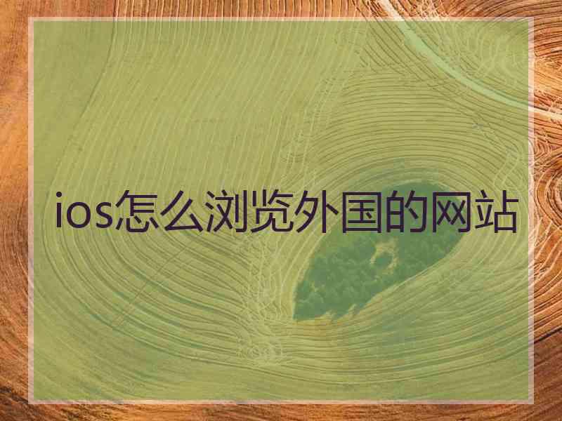 ios怎么浏览外国的网站