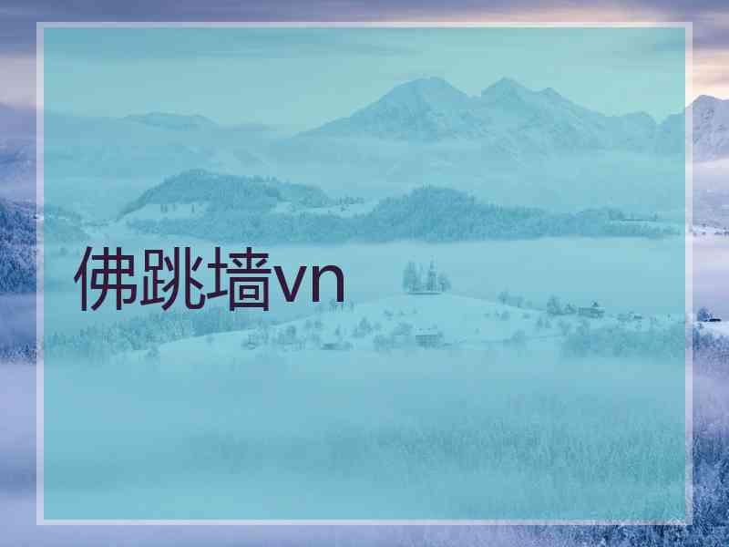 佛跳墙vn