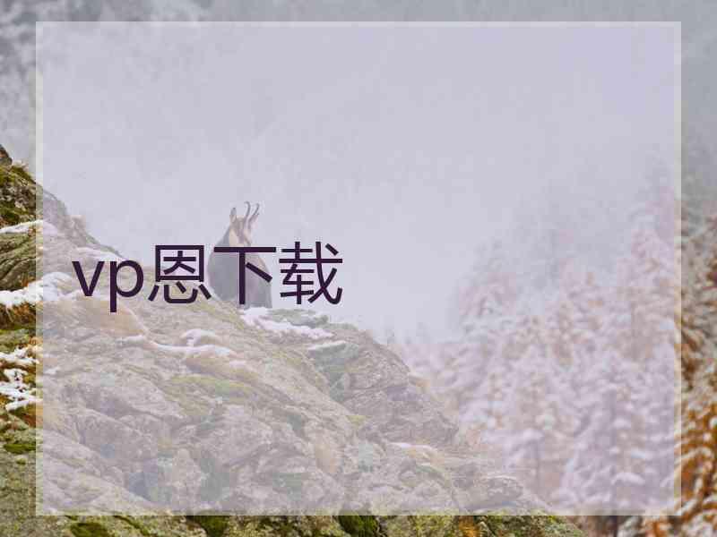 vp恩下载