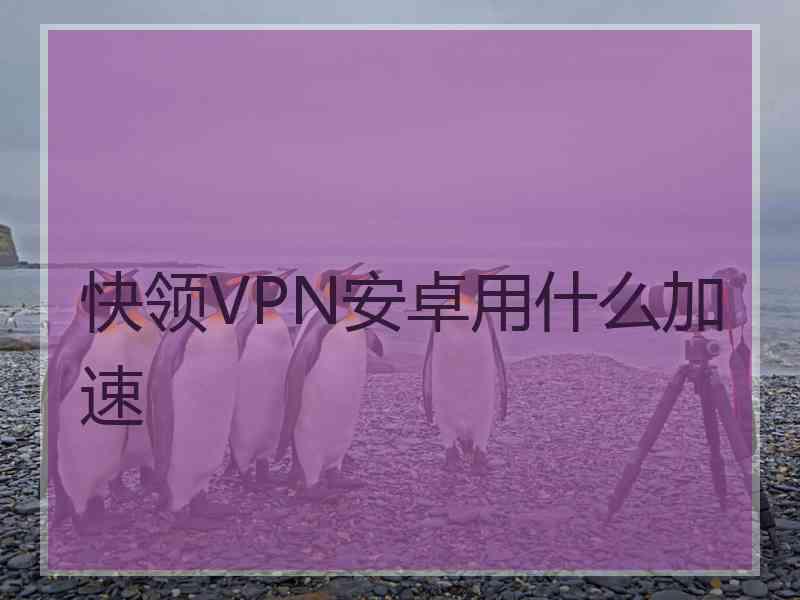 快领VPN安卓用什么加速