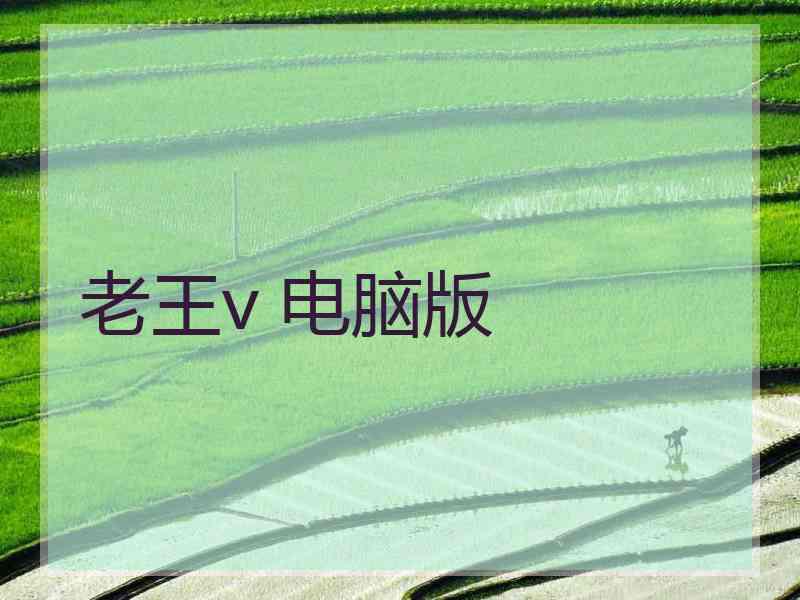 老王v 电脑版