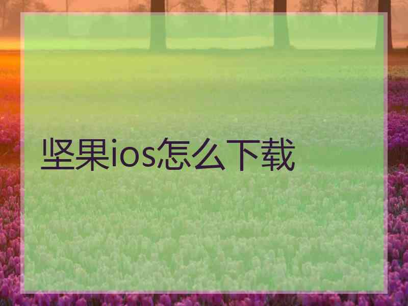 坚果ios怎么下载