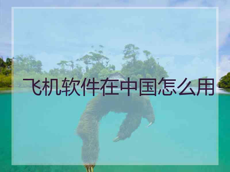 飞机软件在中国怎么用