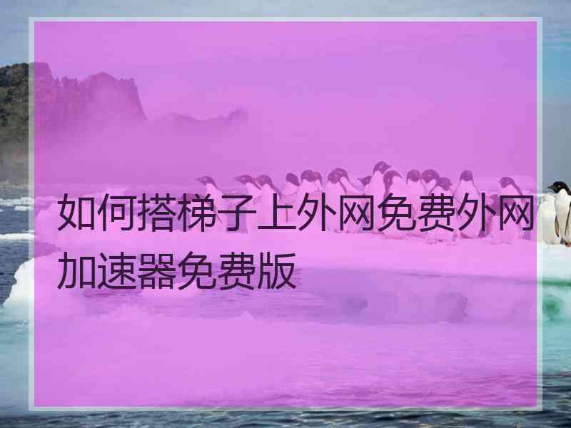 如何搭梯子上外网免费外网加速器免费版