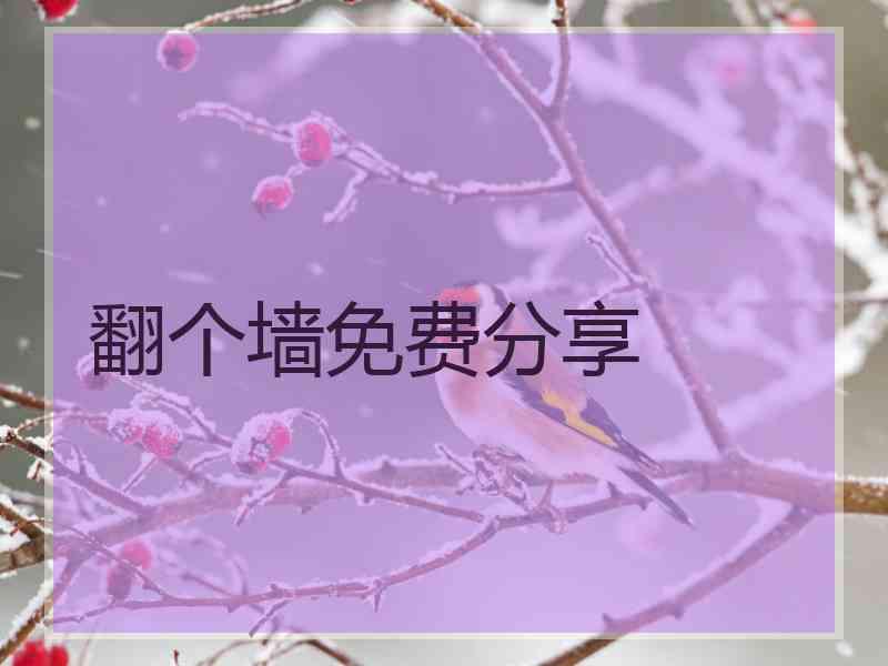 翻个墙免费分享