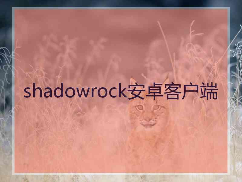 shadowrock安卓客户端