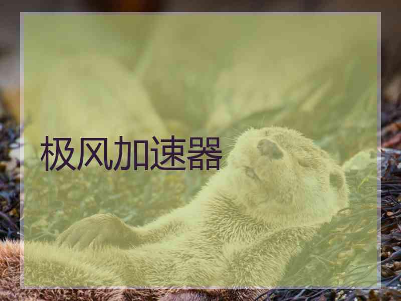 极风加速器