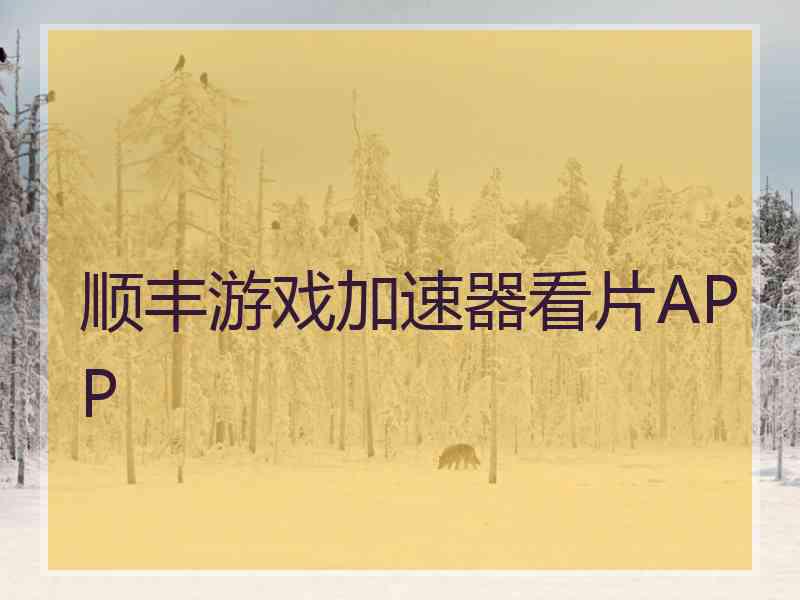 顺丰游戏加速器看片APP