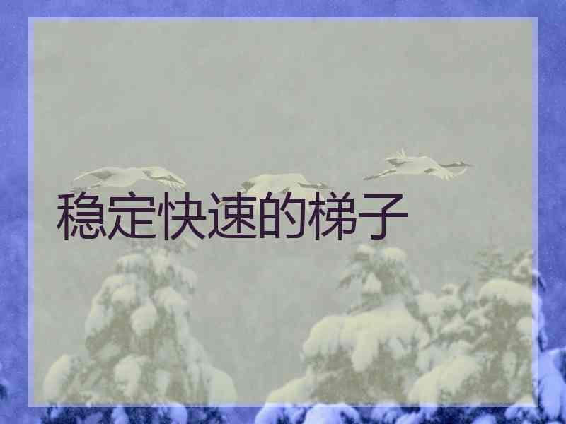 稳定快速的梯子