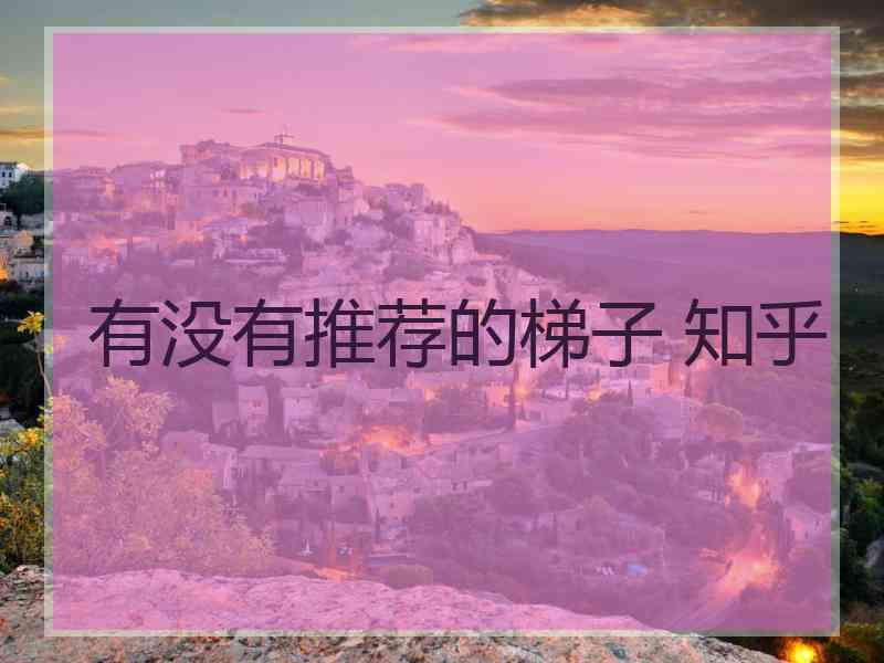 有没有推荐的梯子 知乎