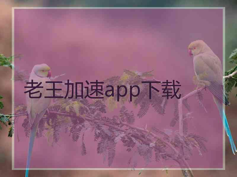 老王加速app下载