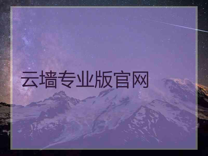 云墙专业版官网