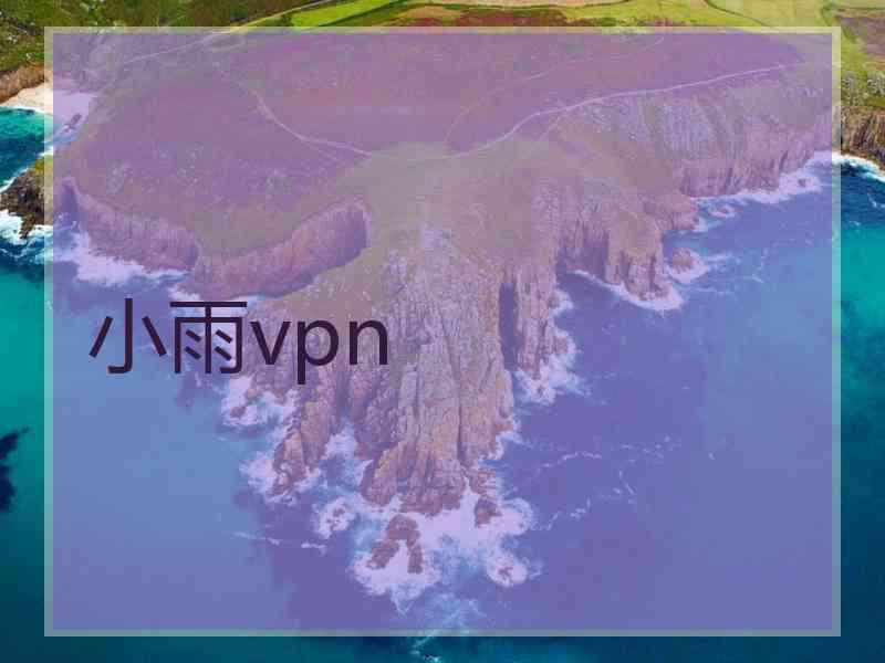 小雨vpn
