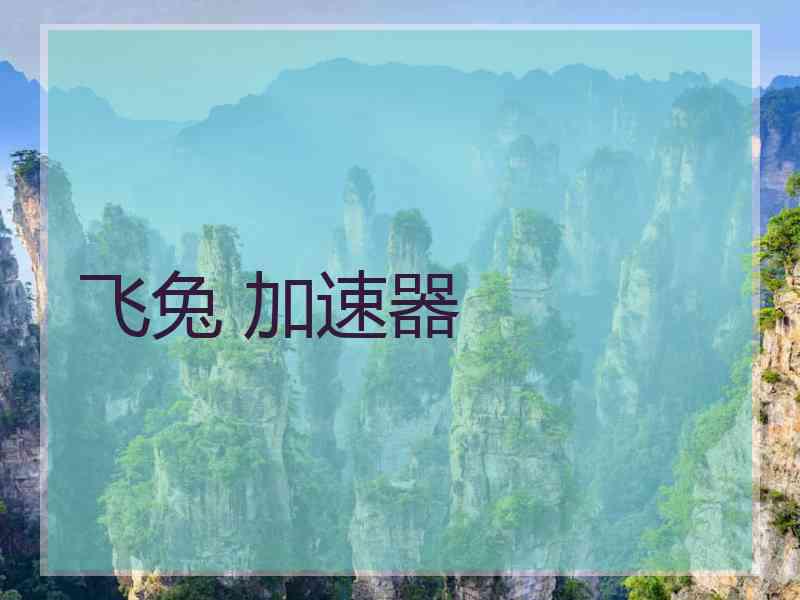 飞兔 加速器