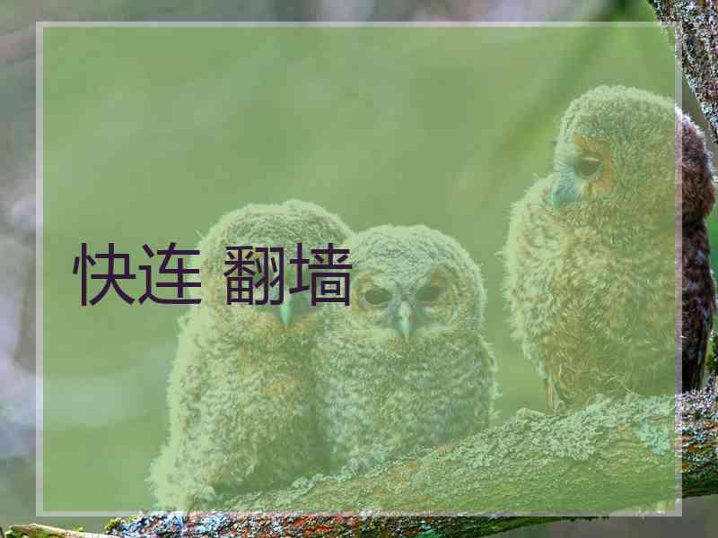 快连 翻墙