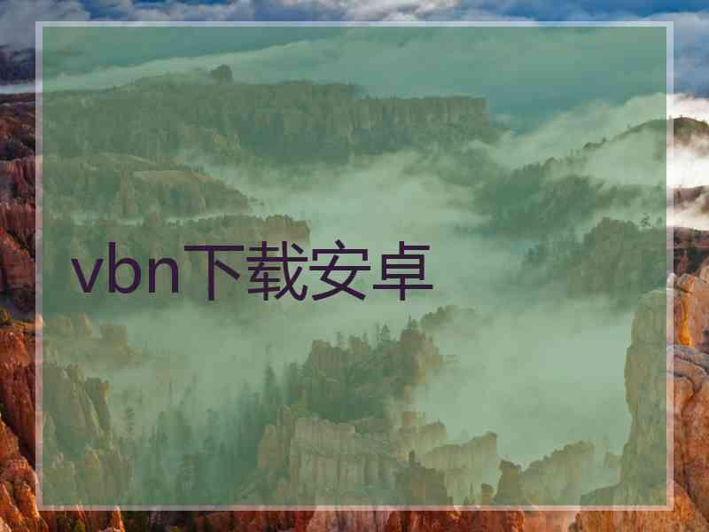 vbn下载安卓