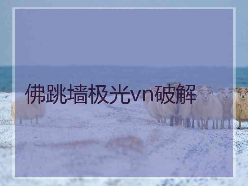 佛跳墙极光vn破解