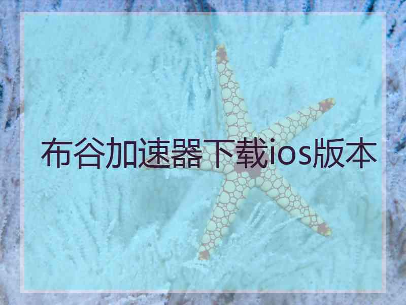 布谷加速器下载ios版本
