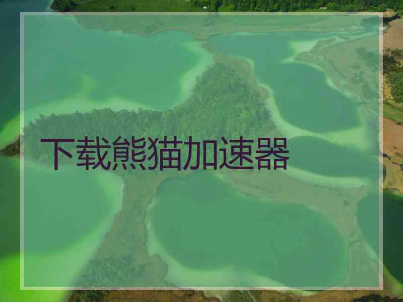 下载熊猫加速器