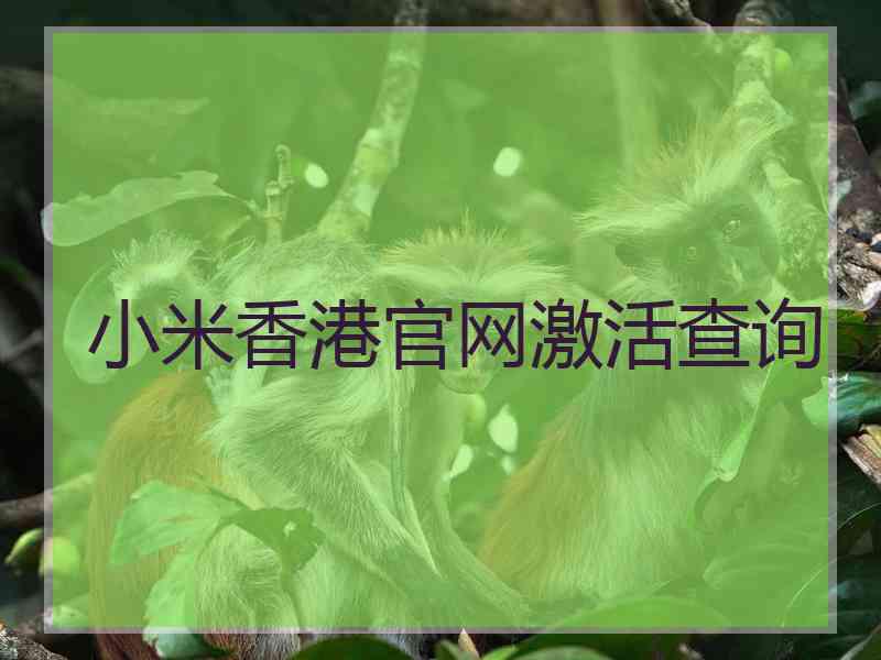 小米香港官网激活查询