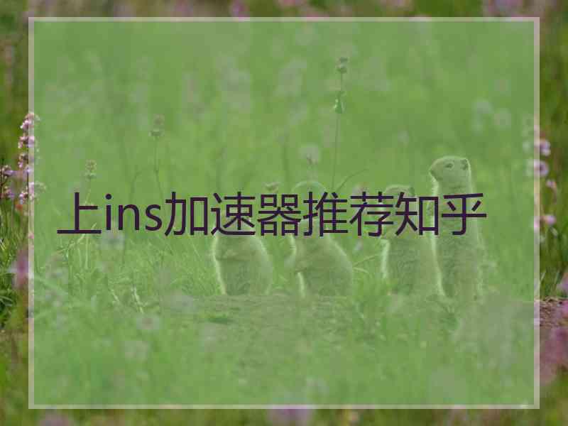 上ins加速器推荐知乎