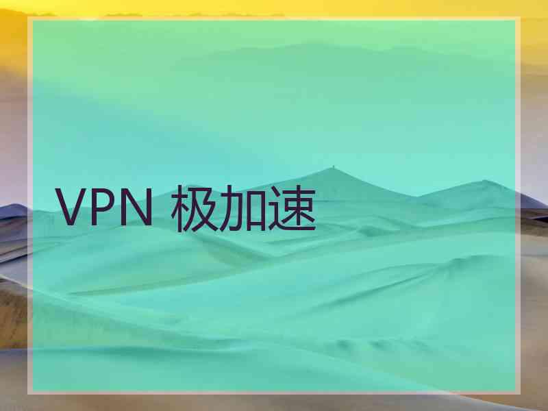 VPN 极加速