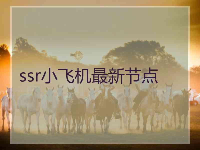 ssr小飞机最新节点