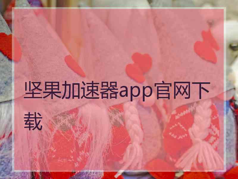 坚果加速器app官网下载